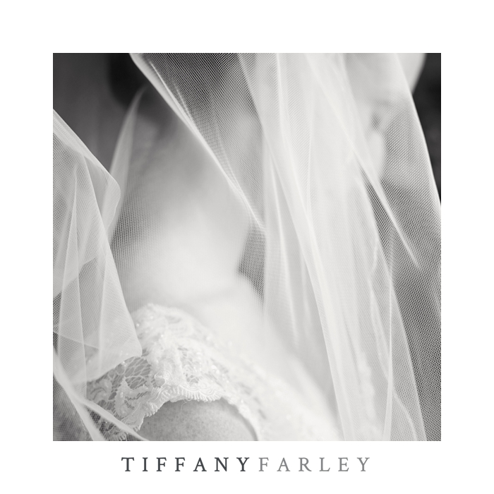 bridal, bridal portrait, wedding portrait, veil, intimate bridal portrait, rock the dress photographer, after the wedding session, after the wedding photographer, lace wedding dress