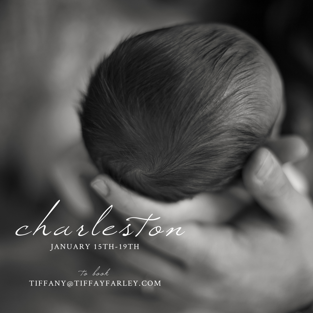 Portland Maine Maternity, Newborn, and Family Photographer Tiffany Farley is Coming to Charleston, South Carolina, http://tiffanyfarley.com