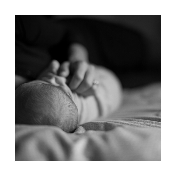 Portland Maine Newborn and Baby Photographer Tiffany Farley, http://tiffanyfarley.com