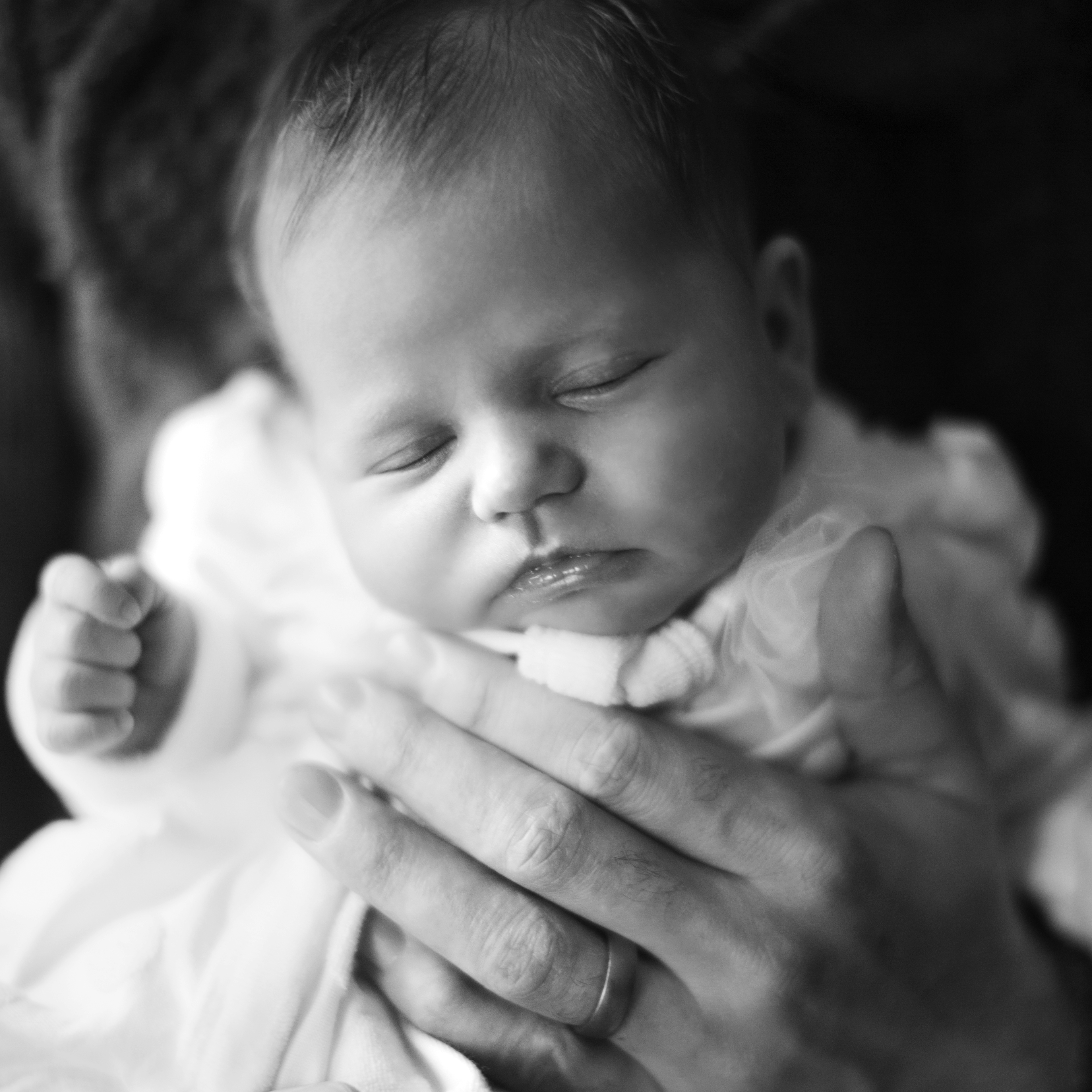 Black and White Newborn and Baby Photographers in Pittsburgh PA, Tiffany Farley